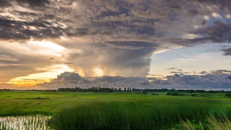 field, rural, sunset-1571717.jpg